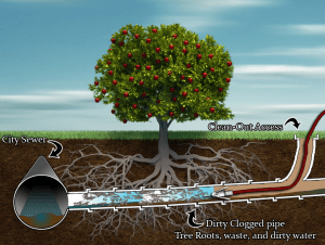 Cleaning Pipe by HydroJet Process1 300x226 300x226